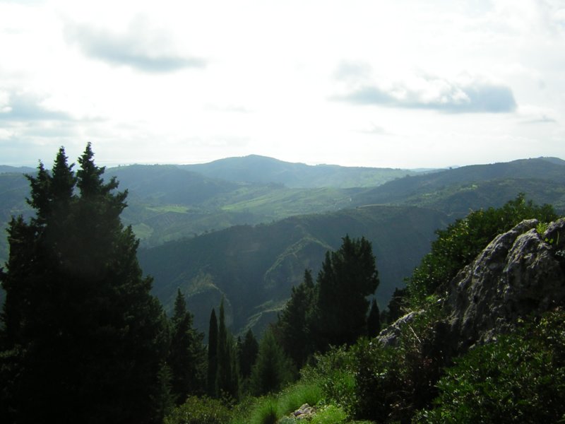 dscn1219.jpg
