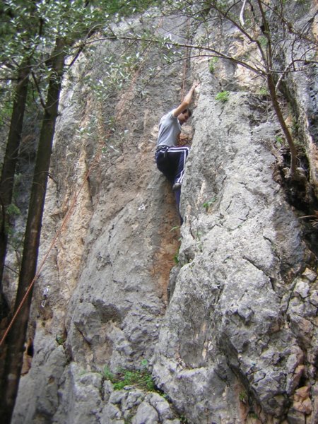 dscn1221.jpg