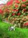 dscn1295_small.jpg
