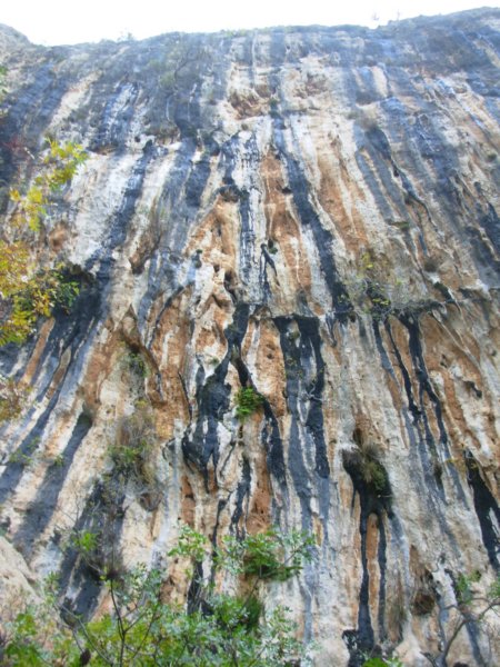 dscn1351.jpg