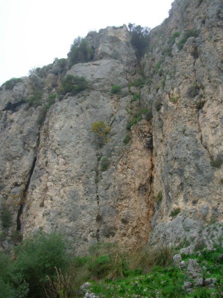 dscn1360.jpg