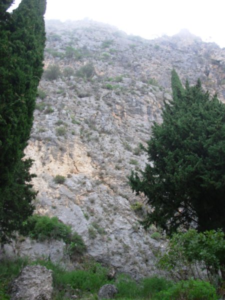 dscn1377.jpg
