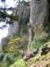 dscn4858_small.jpg