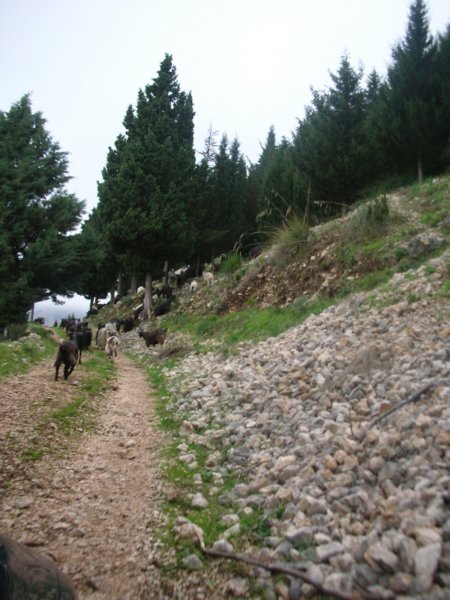 dscn4866.jpg