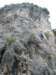 p1040255_small.jpg