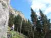 p1040266_small.jpg