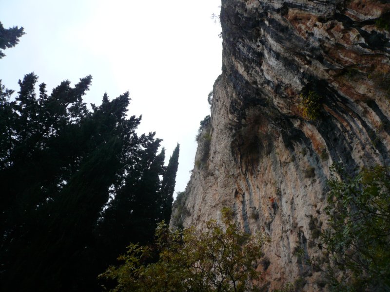 p1040287.jpg