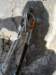 dsc03628_small.jpg