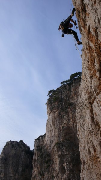 p1010863.jpg