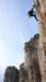 p1010866_small.jpg