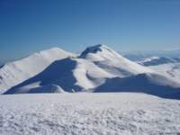 Photo Number 11