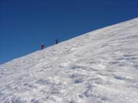 Photo Number 8