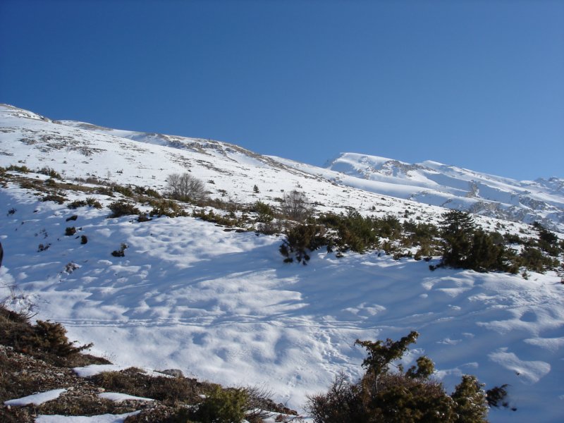 dsc03659.jpg