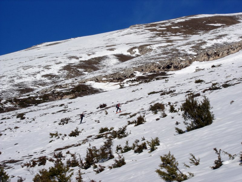 dsc03707.jpg