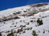 dsc03707_small.jpg
