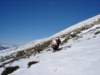 dsc03713_small.jpg