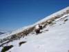 dsc03714_small.jpg