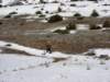 dsc03762_small.jpg