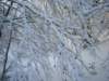 dsc03770_small.jpg