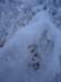 dsc03771_small.jpg