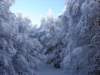 dsc03772_small.jpg