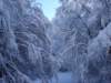 dsc03773_small.jpg