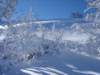 dsc03777_small.jpg