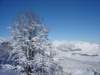dsc03778_small.jpg