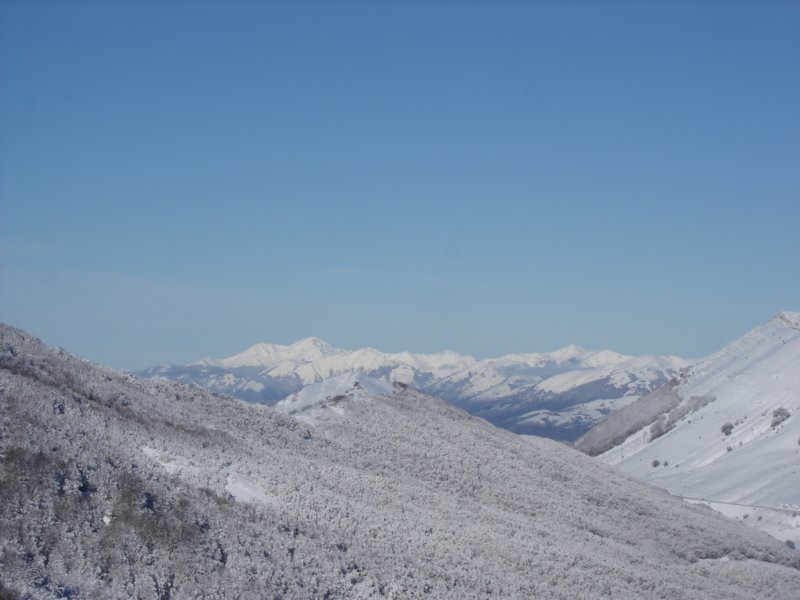 dsc03786.jpg