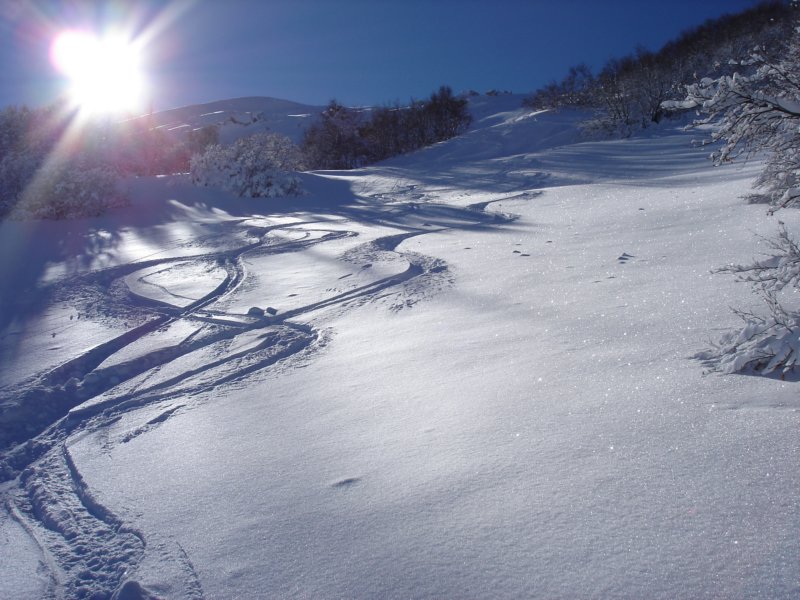 dsc03824.jpg