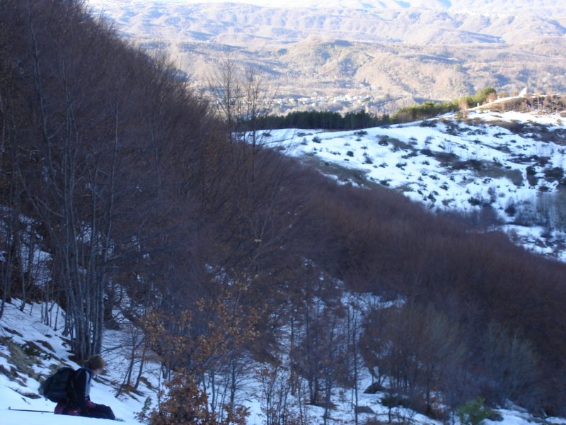 dsc03830.jpg