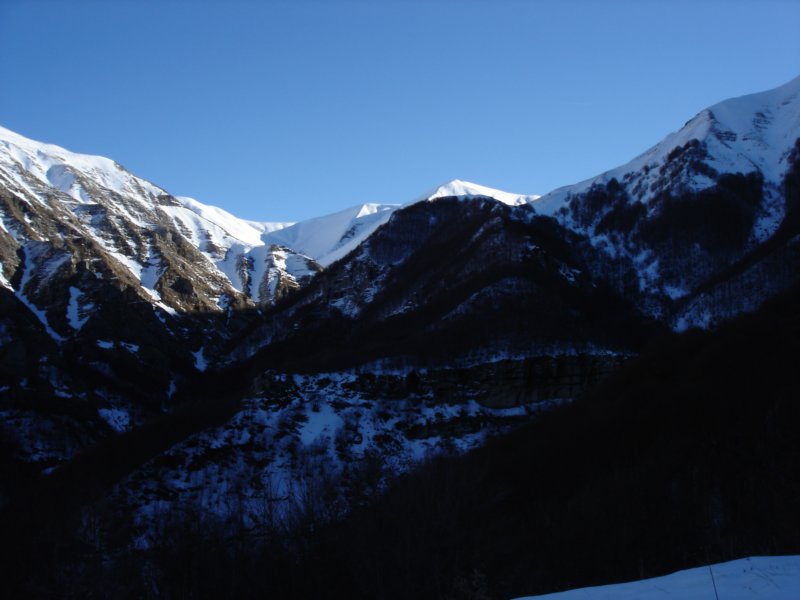 dsc03837.jpg