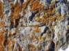 dsc03848_small.jpg