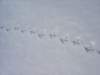 dsc03849_small.jpg