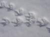 dsc03850_small.jpg