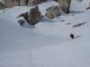 dsc04047_small.jpg