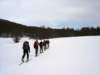 dsc04083_small.jpg