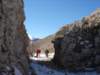 dsc04114_small.jpg