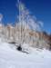 dsc04168_small.jpg