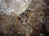 dsc04230_small.jpg