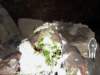 dsc04231_small.jpg