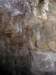 dsc04233_small.jpg