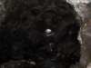 dsc04234_small.jpg