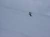 dsc04316_small.jpg