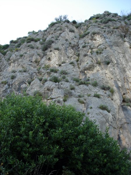 dsc02301.jpg