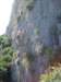 dsc04325_small.jpg