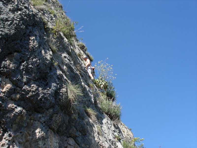 dsc04334.jpg