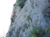 dsc04338_small.jpg