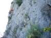 dsc04339_small.jpg