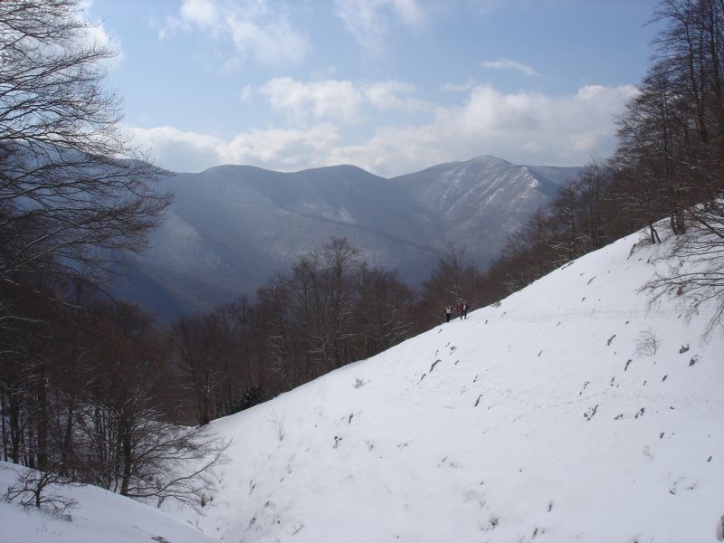 dsc04384.jpg